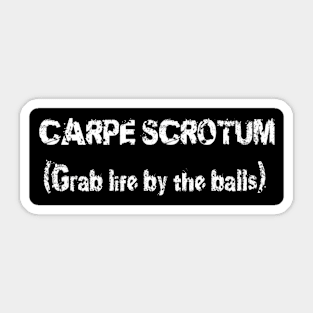 Carpe Scrotum Sticker